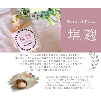 塩麹(坊津の華)5個 B0-10【配送不可地域：離島】