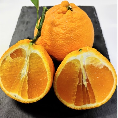 不知火 計5kg 鹿児島県枕崎市産　ご家庭用 A6-175