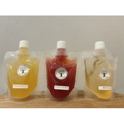 まるで果実!!南薩摩の果汁たっぷりゼリー6個箱入り Z0-59【配送不可地域：離島】