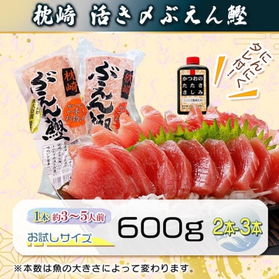 枕崎ぶえんかつお(活き〆血合抜き刺身)　600g A0-79【配送不可地域：離島】