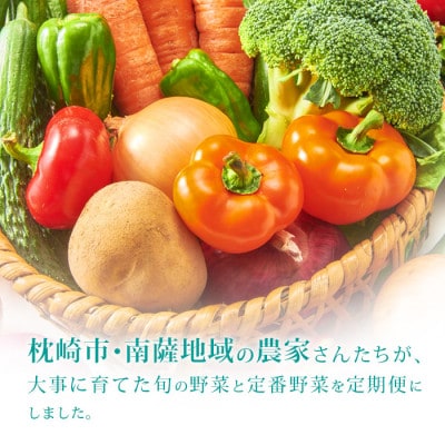 【発送月固定定期便】枕崎の野菜!!定番・旬の野菜お任せセット(5・11・2月)DD0-0008全3回【配送不可地域：離島】