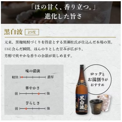 【毎月定期便】薩摩酒造の定番の焼酎【黒白波】1800ml×2本セット! HH0-0008 全6回【配送不可地域：離島】