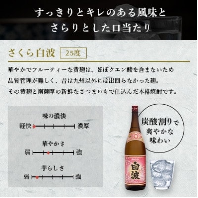 【毎月定期便】薩摩酒造の定番の焼酎【さくら白波】1800ml×2本セット! DD0-0023 全3回【配送不可地域：離島】