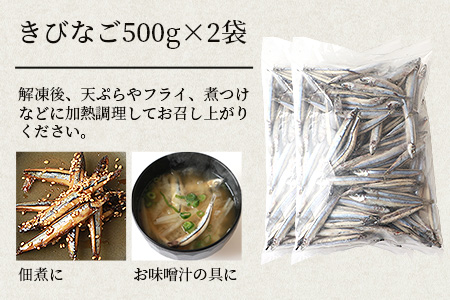 枕崎産 きびなご【合計2kg】冷凍 一夜干し 唐揚げ用 詰め合わせ A3-110【配送不可地域：離島】
