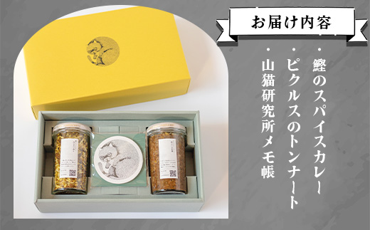 【山猫瓶詰研究所】ギフトセットA 鰹節のトンナート・スパイスカレーのもと・山猫メモ帳 A3-178【配送不可地域：離島】