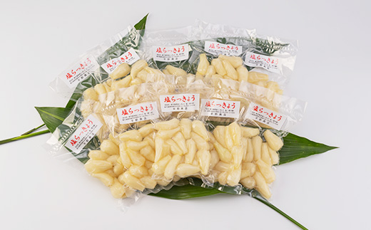 鹿児島県産塩らっきょう1.4kg (140g×10パック) A3-284【配送不可地域：離島】
