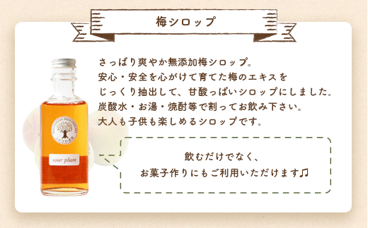 ふかざわ農園の梅シロップ 180ml×3瓶　手づくり シロップ ジュース 希釈用  A3-27【配送不可地域：離島】