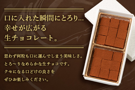 Le Petit Bois(ル・プティ・ボア) 生チョコレート A6-161【配送不可地域：離島】