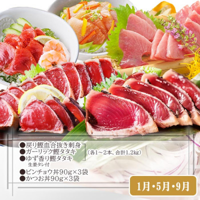 定期便(2回配送)一本釣りかつお・まぐろ三昧　(さつまあげも) DD-6005【配送不可地域：離島】