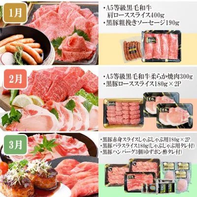 定期便(1年で10回配送)お楽しみ便(A5等級黒毛和牛・黒豚)HH-6004【配送不可地域：離島】