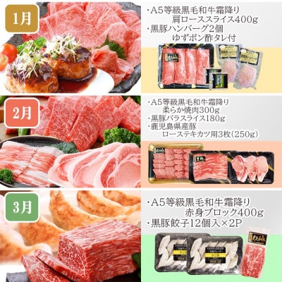 定期便(1年で10回配送)枕崎お楽しみ便(A5等級黒毛和牛・黒豚・黒豚加工品etc) II-6002【配送不可地域：離島】