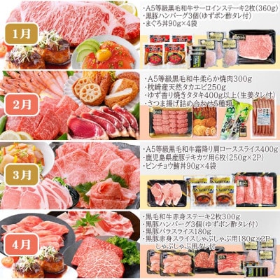 定期便(12回配送)お楽しみ便(A5等級黒毛和牛・黒豚・かつお・まぐろ・さつまあげ等)JJ-6002【配送不可地域：離島】