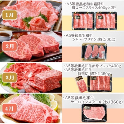 定期便(12回)鹿児島県産A5等級黒毛和牛三昧 JJ-0017【配送不可地域：離島】
