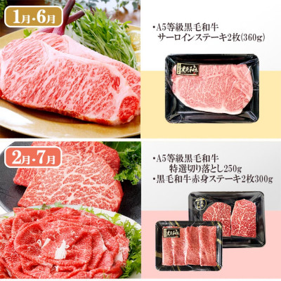 定期便(5回配送)A5等級黒毛和牛シャトーブリアン・サーロインステーキetc GG-0030【配送不可地域：離島】