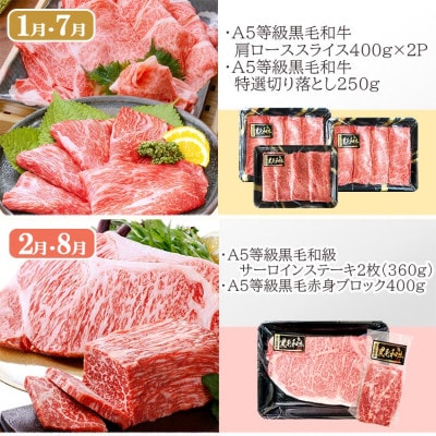 定期便(6回配送)A5等級鹿児島県産黒毛和牛三昧 II-0016【配送不可地域：離島】