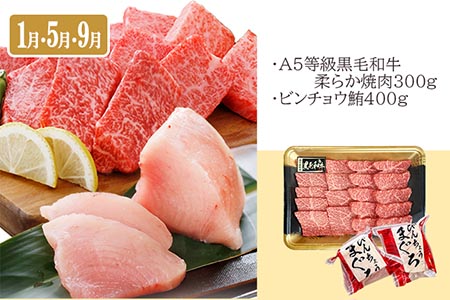 定期便(4回配送)黒毛和牛＆まぐろ・かつお・さつま揚げ EE-0046【配送不可地域：離島】