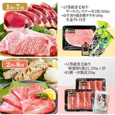 定期便(6回)枕崎お楽しみ便(黒毛和牛・まぐろ・かつおetc) GG-0046【配送不可地域：離島】