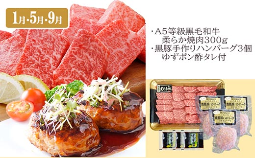 定期便(4回配送)黒毛和牛＆黒豚・かつお・さつまあげ NN-0040【配送不可地域：離島】