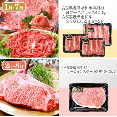 定期便(6回)鹿児島県産A5等級黒毛和牛シャトーブリアン・サーロインステーキetc　HH-6001【配送不可地域：離島】