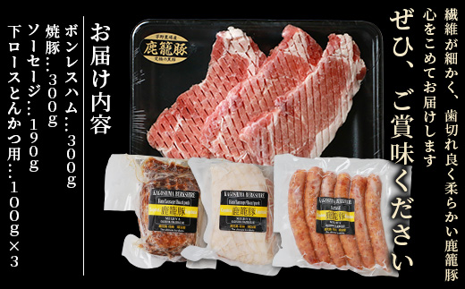鹿籠豚 とんかつ用ロース・ソーセージ・ハム・焼豚【合計1.0kg】 B3-5【配送不可地域：離島】