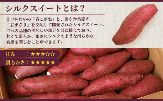 シルクスイート 小分け8袋入り 小ぶりサイズ さつまいも 鹿児島県 A2-4【配送不可地域：離島】