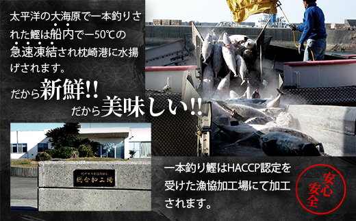 鹿児島県枕崎産 かつお 炭火焼たたきセット 【計1kg+タレ付】 A3-305【配送不可地域：離島】