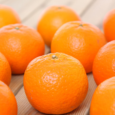 【数量限定】鹿児島県枕崎産 山下農園のこだわりたんかんA8-104【配送不可地域：離島】