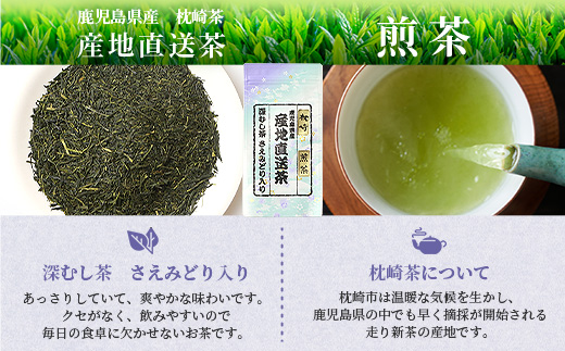 【 煎茶 】  ( 100g×5本 )  鹿児島県 枕崎産 大河内製茶 A3-212【配送不可地域：離島】