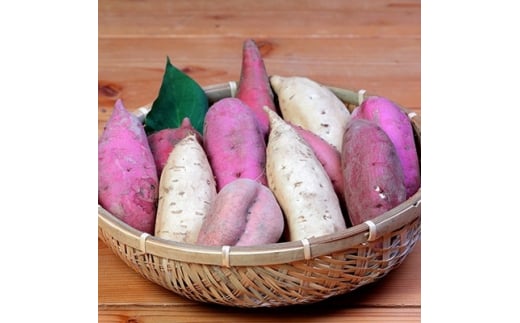 鹿児島さつまいも 5品種 食べ比べ 6kg 　2025年10月上旬より発送A3-54【配送不可地域：離島】