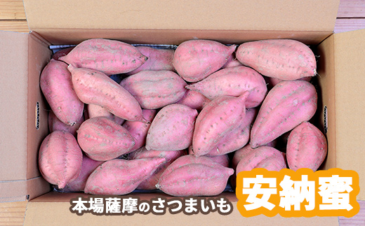 本場鹿児島さつまいも 【安納蜜】6kg　2025年10月より発送A3-55【配送不可地域：離島】