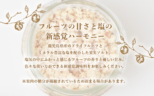 ドライフルーツソルト (とまと・たんかん・キウイなど)4種セット 果実塩  A8-50【配送不可地域：離島】