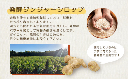 発酵ジンジャーシロップ(150g×3個)【非加熱発酵】【米入り】A7-12【配送不可地域：離島】