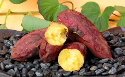 【先行予約】本場鹿児島さつまいも【シルクスイート】6kg　2025年10月より発送A3-58【配送不可地域：離島】