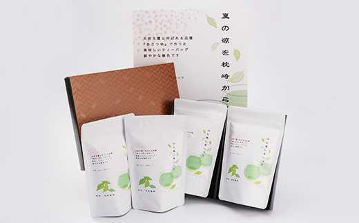 「天然玉露あさつゆ」緑茶ティーバッグ(5g×25P)×4袋　水出し・お湯両用タイプ A4-1【配送不可地域：離島】