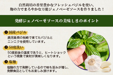 発酵ジェノベーゼソース(150g×3個)】【鹿児島県枕崎産 バジル使用】A5-13【配送不可地域：離島】