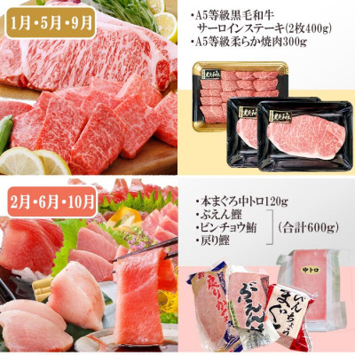 定期便4回配送　A5等級黒毛和牛・黒豚・まぐろetc FF-6002【配送不可地域：離島】