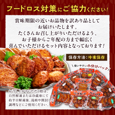 〔訳あり〕さつま揚げ(つけあげ) 真空パックセット 小分け A3-311【配送不可地域：離島】