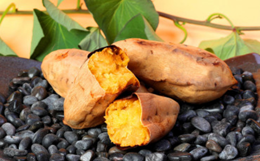 本場鹿児島さつまいも【くりこがね】4kg　2025年10月上旬より発送Z0-16【配送不可地域：離島】