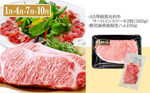 定期便3回配送　お楽しみ定期便(鹿児島県産お肉とかつお・まぐろ) EE-6015【配送不可地域：離島】