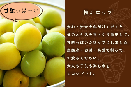 【母の日】ふかざわ農園の梅シロップ 手づくり シロップ ジュース 希釈用 A3-27M【配送不可地域：離島】
