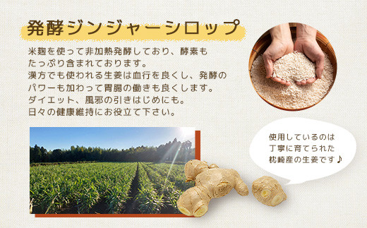 【母の日】発酵ジンジャーシロップ(150g×3個)【非加熱発酵】【米入り】A7-12M【配送不可地域：離島】