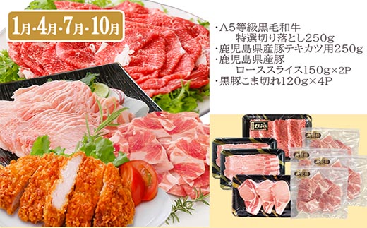 総重量3Kg越え、鹿児島県産黒毛和牛と黒豚のお料理定期便(3回配送)　EE0-0002【配送不可地域：離島】