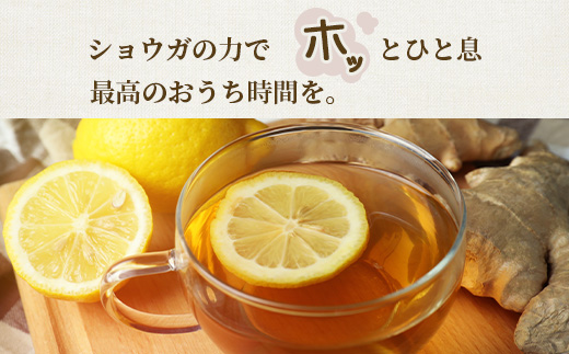 【のし付き・お中元】発酵ジンジャーシロップ(150g×3)【優しい甘さの生姜シロップ】A7-12C【配送不可地域：離島】