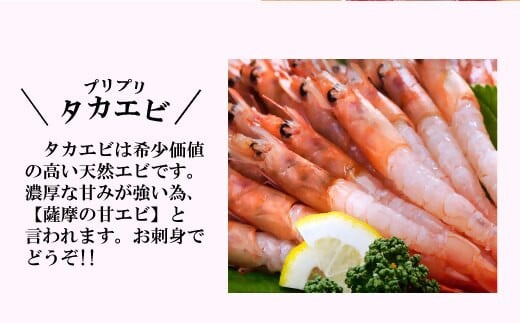 【薩摩甘エビ】天然タカエビ＆ネギトロ　A0-52【配送不可地域：離島】