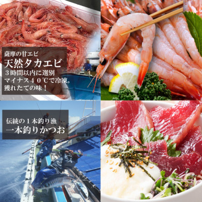 ZIP!で紹介!海鮮丼セット 4種 天然タカエビ (薩摩 甘エビ )鰹・鮪丼  刺身で  A0-33【配送不可地域：離島】
