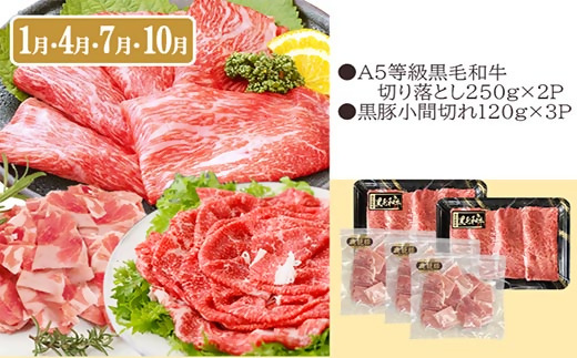 定期便(3回配送)黒毛和牛・黒豚＆薩摩の甘エビ　DD5-0002【配送不可地域：離島】