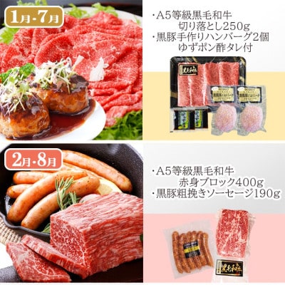 定期便(6回配送)　鹿児島県産黒毛和牛・黒豚・海の幸　HH5-0001【配送不可地域：離島】