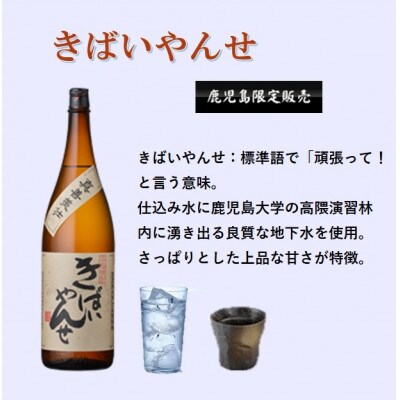 【本格焼酎】きばいやんせ【鹿児島限定】 1800ml×3本　B5-9【配送不可地域：離島】