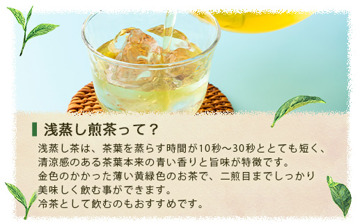 【2025年産】浅蒸し煎茶(100g×1袋)【若蒸し煎茶】【合計100g】X0-17【配送不可地域：離島】