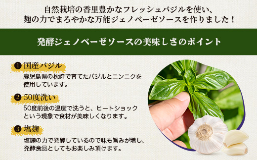 発酵ジェノベーゼソース(150g×2個)【鹿児島県枕崎産 バジル使用】A2-17【配送不可地域：離島】